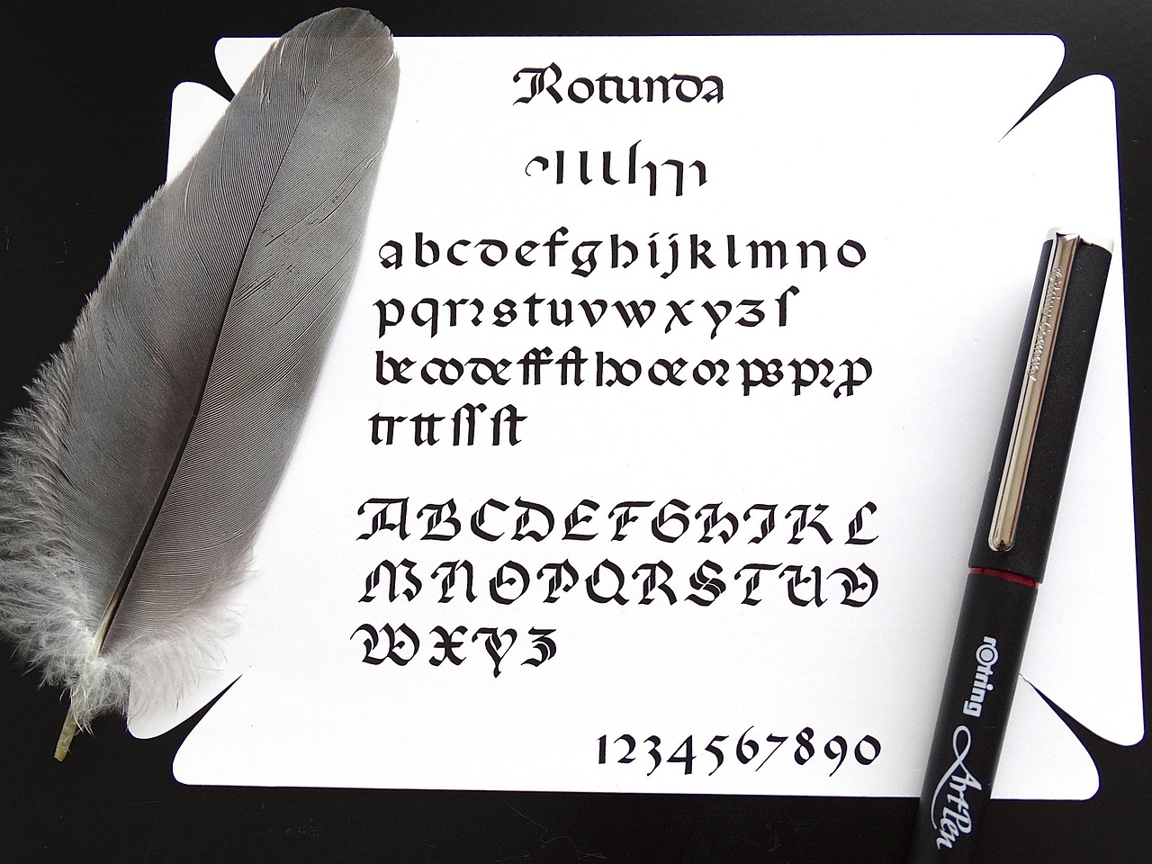 1744873340434838.jpg