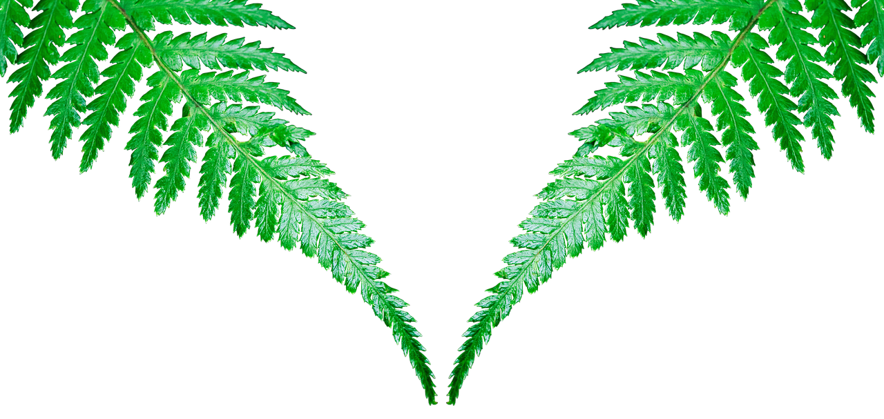 1753851261959957.png