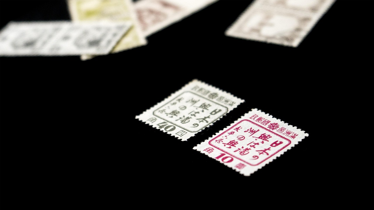 1755677373533711.jpg